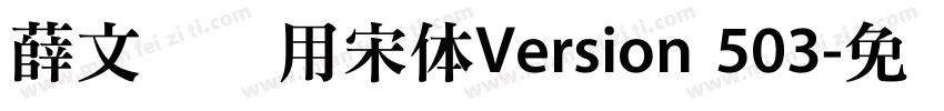 薛文涛专用宋体Version 503字体转换